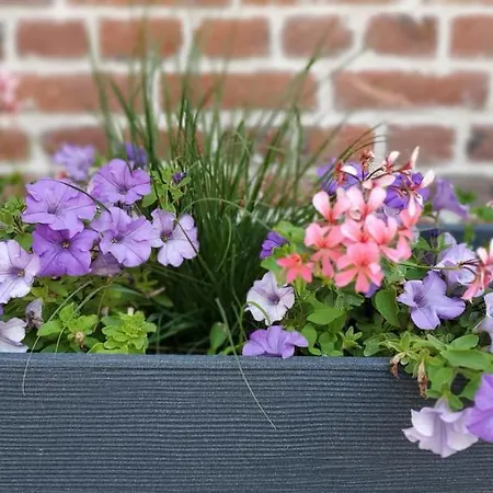 Bed & Breakfast La Maison De Nos Parents